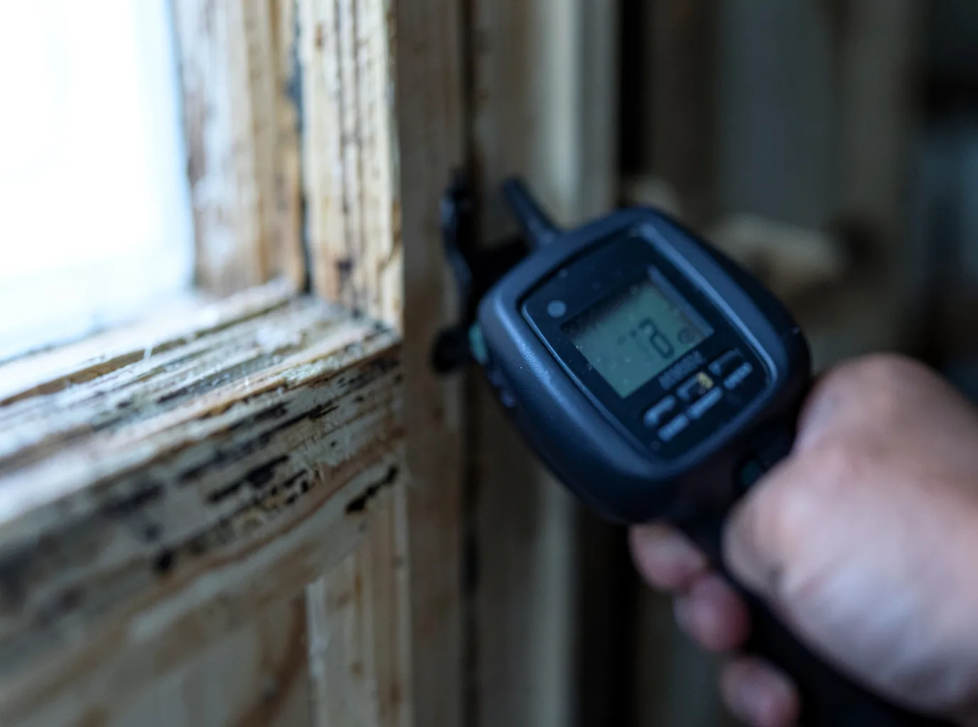 Moisture Inspection And Documentation in Dewart, PA
